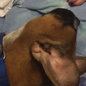 Meet your Posher, Heather